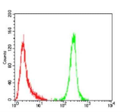Flow Cytometry: ErbB4/Her4 Antibody (5G6B4) - BSA Free [NBP2-52462]