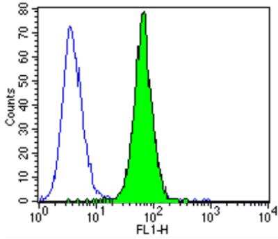 Flow Cytometry: ErbB4/Her4 Antibody (H4.77.16 (Ab77)) [NB120-3104]