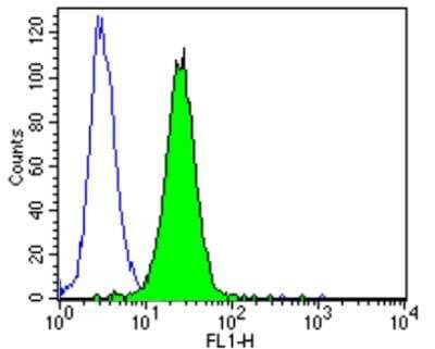 Flow Cytometry: ErbB4/Her4 Antibody (H4.77.16 (Ab77)) [NB120-3104]