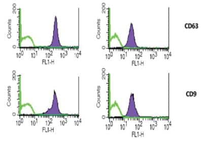 Flow Cytometry: Exosome Standards (A549 cell line) [NBP3-11645]