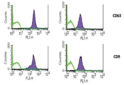 Flow Cytometry: Exosome Standards (HEK293 cell line) [NBP3-11684]