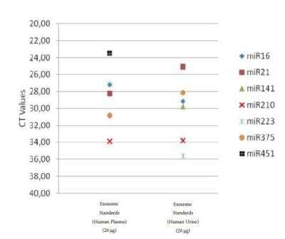 Nucleic Acid Extraction: Exosome Standards (Human Urine) [NBP2-49840]