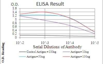 ELISA: Ezrin Antibody (6F1A9) - BSA Free [NBP2-52465]