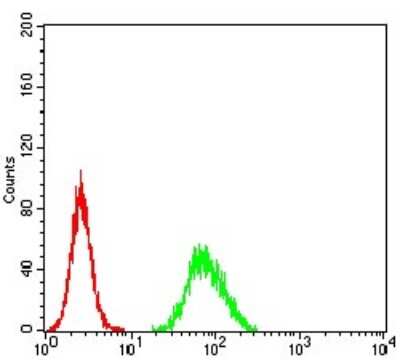 Flow Cytometry: Ezrin Antibody (6F1A9) - BSA Free [NBP2-52465]