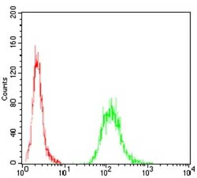 Flow Cytometry: Ezrin Antibody (6F1C3) - BSA Free [NBP2-52464]