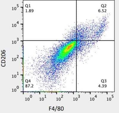 Flow Cytometry: F4/80 Antibody (CI-A3-1) - BSA Free [NB600-404]