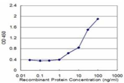 ELISA: FAAH Antibody (2C3) [H00002166-M02]