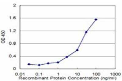 ELISA: FAAH Antibody (2G8) [H00002166-M01]