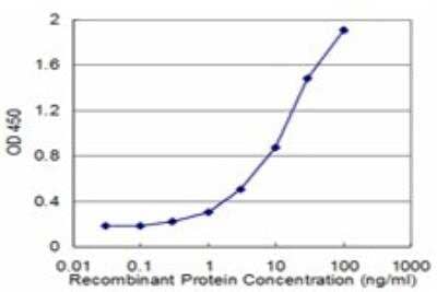 ELISA: FAAH Antibody (4F1) [H00002166-M03]