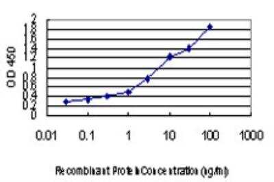 ELISA: FAAH Antibody (4H8) [H00002166-M07]