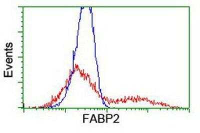 Flow Cytometry: FABP2/I-FABP Antibody (OTI2C4) [NBP2-01239]