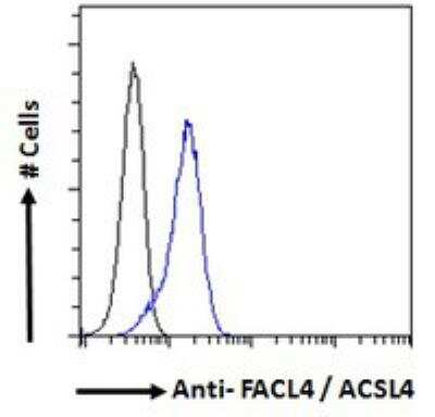 Flow Cytometry: FACL4 Antibody [NB300-861]