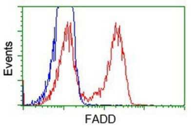 Flow Cytometry: FADD Antibody (OTI1C11) [NBP2-02784]