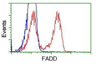 Flow Cytometry: FADD Antibody (OTI1C11) - Azide and BSA Free [NBP2-71387]