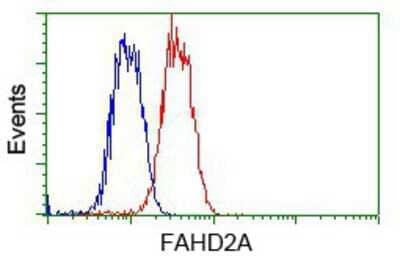 Flow Cytometry: FAHD2A Antibody (OTI6D9) [NBP2-02331]