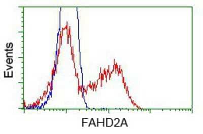 Flow Cytometry: FAHD2A Antibody (OTI6D9) [NBP2-02331]