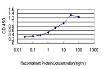 ELISA: FAIM3 Antibody (1E4) [H00009214-M01]