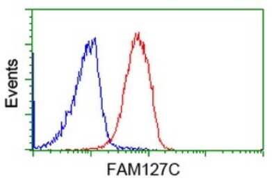 Flow Cytometry: FAM127C Antibody (OTI1A6) [NBP2-45699]
