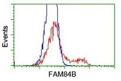 Flow Cytometry: FAM84B Antibody (OTI1D12) - Azide and BSA Free [NBP2-72440]