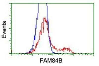 Flow Cytometry: FAM84B Antibody (OTI1D12) [NBP2-03263]