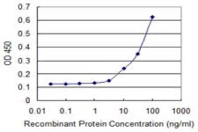 ELISA: FANCB Antibody (2B10) [H00002187-M01]