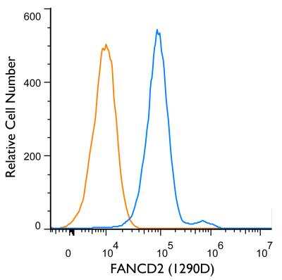 Flow (Intracellular): FANCD2 Antibody (1290D) - BSA Free [NBP2-54808]