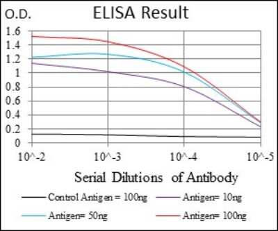 ELISA: FATP2/SLC27A2 Antibody (6B3A9) - BSA Free [NBP2-37738]