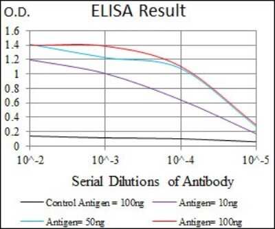 ELISA: FATP5/SLC27A5 Antibody (4B11C10) - BSA Free [NBP2-37413]