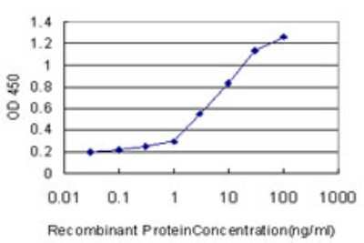 ELISA: FBXO11 Antibody (4C12) [H00080204-M01]