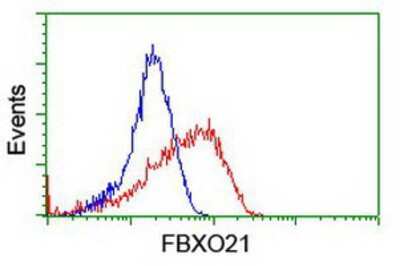 Flow Cytometry: FBXO21 Antibody (OTI2C7) [NBP2-01569]