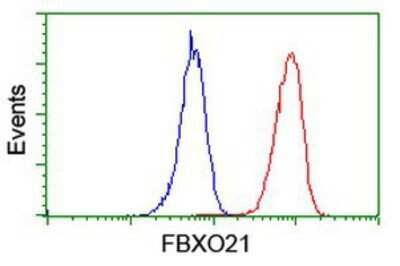 Flow Cytometry: FBXO21 Antibody (OTI2C7) [NBP2-01569]