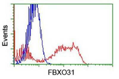Flow Cytometry: FBXO31 Antibody (OTI1H1) [NBP2-01508]
