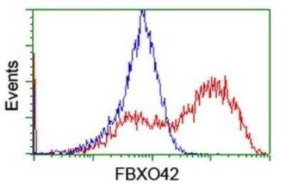Flow Cytometry: FBXO42 Antibody (OTI1H4) - Azide and BSA Free [NBP2-71960]