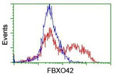 Flow Cytometry: FBXO42 Antibody (OTI2G7) - Azide and BSA Free [NBP2-71958]