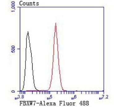 Flow Cytometry: FBXW7/Cdc4 Antibody [NBP2-89145]