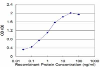ELISA: FCP1 Antibody (3G4) [H00009150-M04]