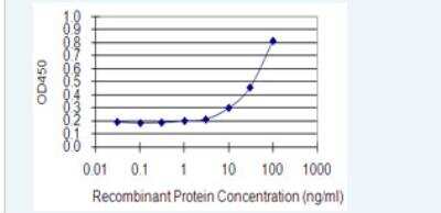 ELISA: FCRLB/FCRY Antibody (2F8) [H00127943-M01-100ug]