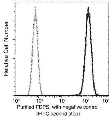 Flow Cytometry: FDPS Antibody (005) [NBP2-90198]