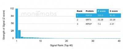 Protein Array: FGF-23 Antibody (FGF23/4168) - Azide and BSA Free [NBP3-08383]
