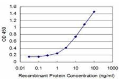 ELISA: FGF-8 Antibody (2A11) [H00002253-M05]