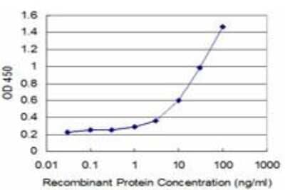 ELISA: FGF-8 Antibody (2A12) [H00002253-M03]