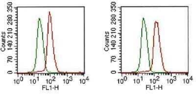 Flow Cytometry: FGFR1 Antibody (M17A3) - BSA Free [NB100-2079]