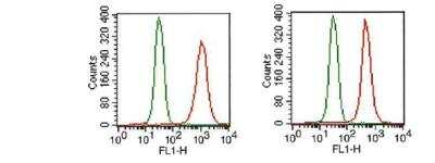 Flow Cytometry: FGFR1 Antibody (M17D10) - BSA Free [NB100-2080]