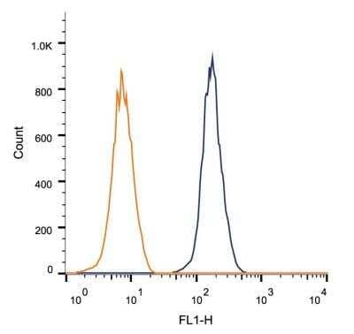 Flow Cytometry: FGFR1 Antibody (M19B2) - BSA Free [NB600-1287]