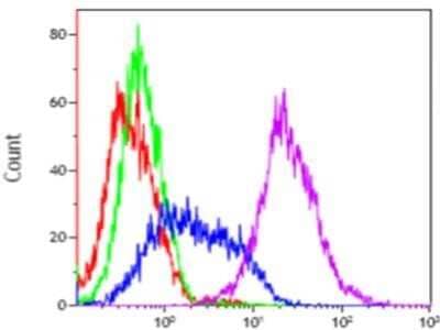 Flow Cytometry: FGFR1 Antibody (M19B2) - BSA Free [NB600-1287]