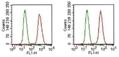 Flow Cytometry: FGFR1 Antibody (M2F12) - BSA Free [NB120-829]