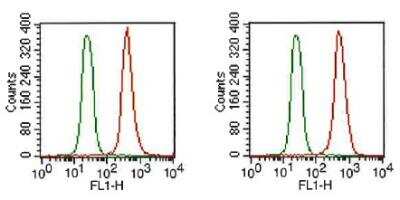 Flow Cytometry: FGFR1 Antibody (M2F12) - BSA Free [NB120-829]