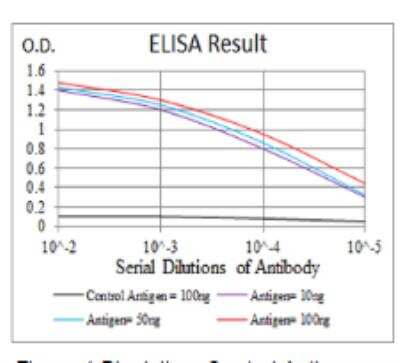 ELISA: FGFR3 Antibody (2H10B4) - BSA Free [NBP2-52468]