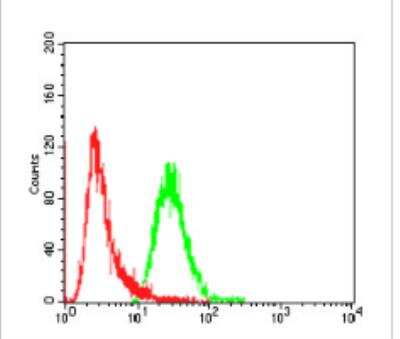 Flow Cytometry: FGFR3 Antibody (2H10B4) - BSA Free [NBP2-52468]