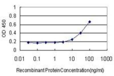 ELISA: FGF acidic/FGF1 Antibody (2E12) [H00002246-M02]